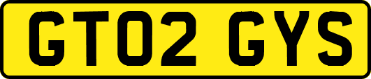 GT02GYS