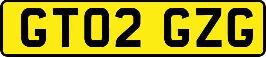 GT02GZG