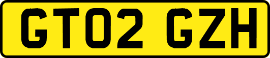 GT02GZH