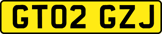 GT02GZJ
