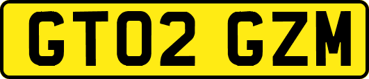 GT02GZM