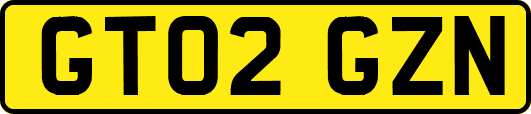 GT02GZN