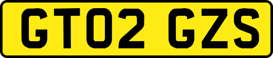 GT02GZS