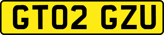 GT02GZU