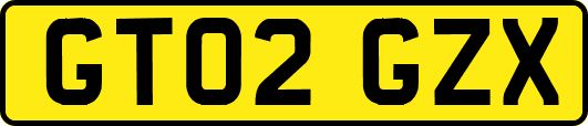 GT02GZX