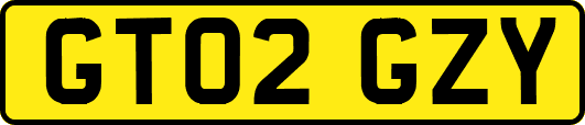 GT02GZY