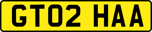 GT02HAA