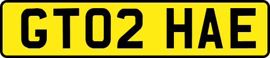 GT02HAE