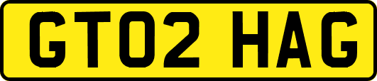 GT02HAG