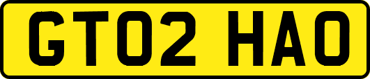 GT02HAO