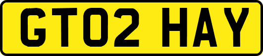 GT02HAY