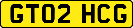 GT02HCG