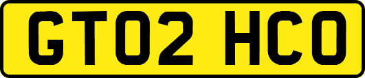 GT02HCO