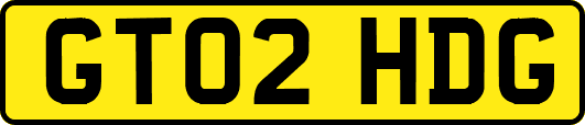 GT02HDG
