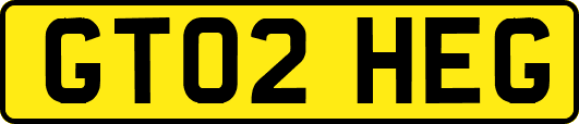 GT02HEG