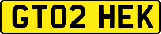GT02HEK