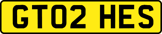 GT02HES
