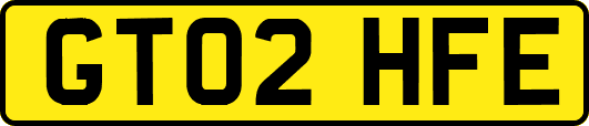 GT02HFE