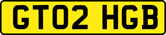 GT02HGB