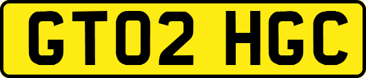 GT02HGC