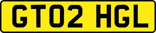 GT02HGL