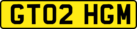 GT02HGM