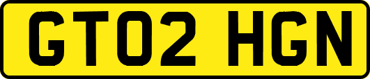 GT02HGN