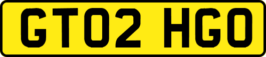 GT02HGO