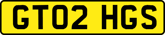 GT02HGS