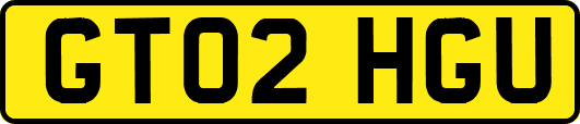 GT02HGU