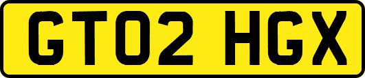 GT02HGX