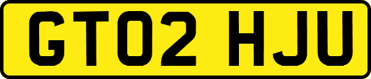 GT02HJU