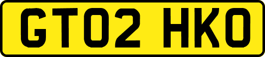 GT02HKO