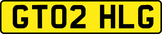 GT02HLG