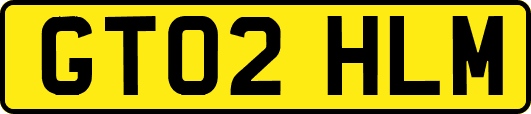 GT02HLM