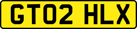 GT02HLX