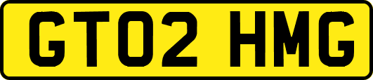 GT02HMG