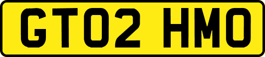 GT02HMO
