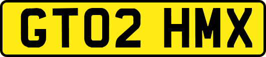 GT02HMX