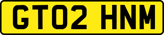 GT02HNM