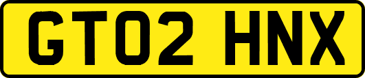 GT02HNX