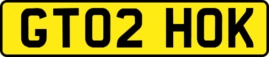 GT02HOK