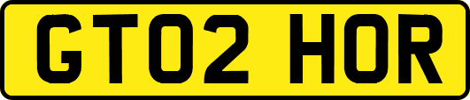 GT02HOR