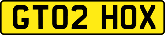 GT02HOX