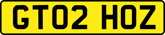 GT02HOZ