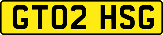 GT02HSG