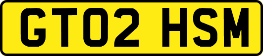 GT02HSM