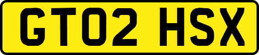 GT02HSX
