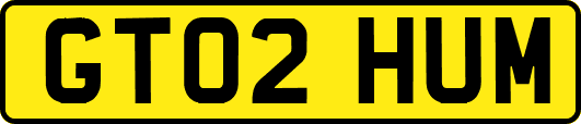 GT02HUM