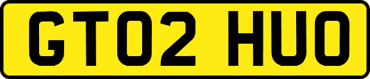 GT02HUO